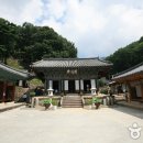 파계사 - 1135 | 파계사