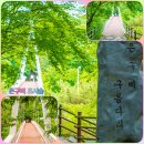 월드컵지구대 화장실 | 대전 도시 숲 은구비 역사 공원 두루봉 근린공원, 펫 유아 가족 피크닉 휴식 치유 공간