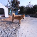 산애들애펜션 이미지