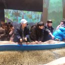 목재문화자연사체험관 이미지