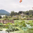 상림고운광장 | 함양산삼축제 2025 초대가수 기간 상림숲 주차 이벤트 총정리