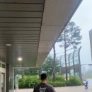 크림스톤 이미지