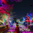 테마파크 이미지