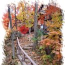 허브내음 이미지