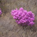 강서체육공원 이미지