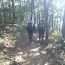 오르다 보면 이미지