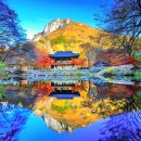 11월18일(화)~19일(수)내장산내장사,백암산백양사,강천산,담양메타쉐콰이어 이미지