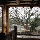 다소니 전통찻집 이미지