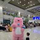 동천이안소아청소년과의원 | 19개월 아기 일본 후쿠오카여행 4일 차(비행기 연착, 감기)