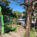 서봉산 산림욕장 1 이미지