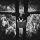 링크 link 이미지