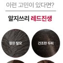 진생 이미지