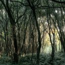 청수5로 이미지