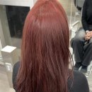 레드가이 미용실 | 강렬한 레드컬러, 누구에게나 어울려요 / 성수동 외국인 미용실 후기