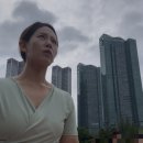 웰니스 코리아 | [2025.07.20]웰니스라이프 호소인의 원더러스트코리아2025 2일차(일요일) 후기