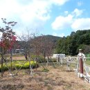 경천 체육공원 이미지
