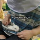 청아곤충놀이터