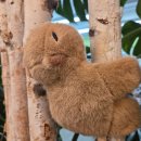 라온카페 이미지