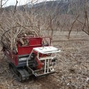 심복농장 이미지