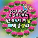 65세이상 혜택 총정리 이미지