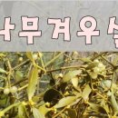 행복한점빵 - 울주군 | 행복한점빵