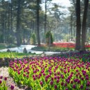 제주542펜션 이미지