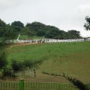 개구리목장 이미지