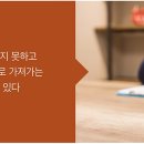 노사레이버