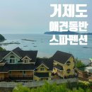 어린왕자스파애견펜션 네이버블로그