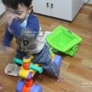 토미코리아 | 잼버스코리아 토미 걸음마보조기 후기