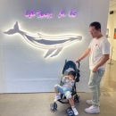 장생포고래로L 이미지