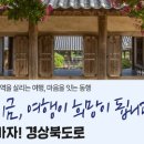 YES!항공여행사 이미지