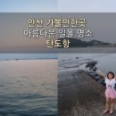 탄도수산물직판장 이미지