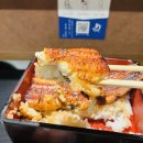 장어여행 이미지