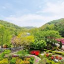 아름다운 동행 이미지