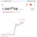 감자탕본심