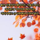 모모염색방