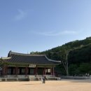 호반블루베리