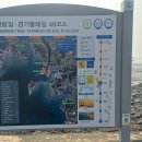육골농장 티스토리