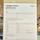 비움 | 강원도 평창 리조트 '휘닉스파크 &amp; 블루캐니언' 블루동 숙박, 워터파크 후기
