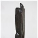 화석(규화목) 이미지