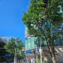 마스터연세정형외과의원 이미지