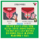 단원요양보호사교육원 이미지