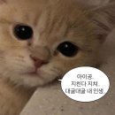 CU첨단천사점 | 8월 (4)