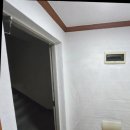 유등로17번길 | 🏡 집 분위기 확 바꿨어요! 대전도배 복수동 시공 후기✨