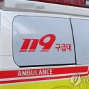 삼십오도씨(주) 네이버블로그