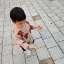 엄마의 그림책 놀이 | [1세 그림책 활동] 가을 낙엽 오감놀이 + ‘또 누구게?’ 읽기 전·후 수업 후기