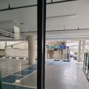 세내 | 대구 남구 봉덕동 파충류샵 있는 까페 밀림 내돈내산 만족스런 방문 후기