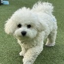 인물나개 이미지