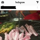 왕마포갈매기 이미지